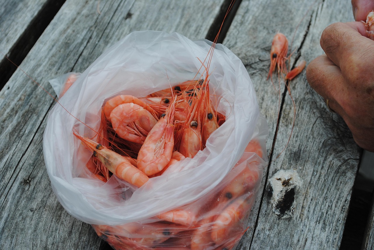 shrimp-598229_1280